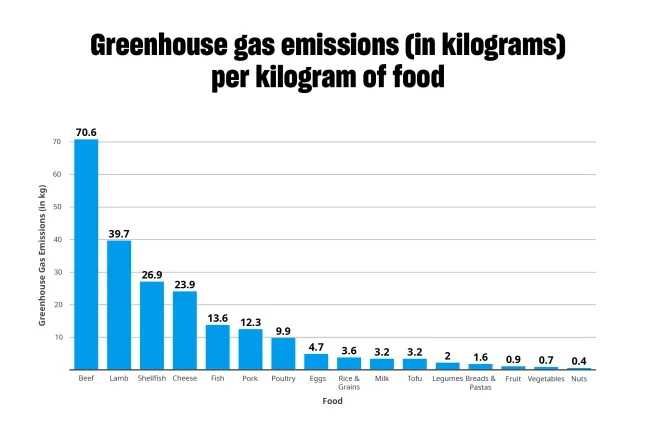 A bar chart from the UN that shows the carbon footprint of different food products. Starting with animal products like beef on the far right with the highest amount of greenhouse gases and then moving to veggies, legumes and nuts, which have the lowest.