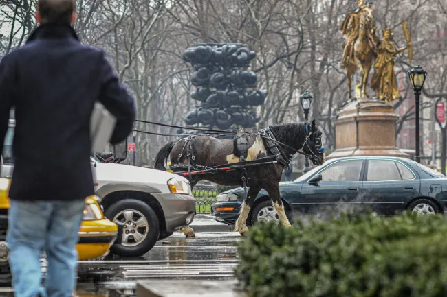 A horse pulls a carriage through traffic in New York City.