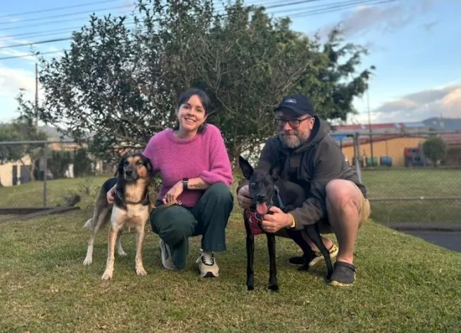 Two dogs pose with their human family in a park.