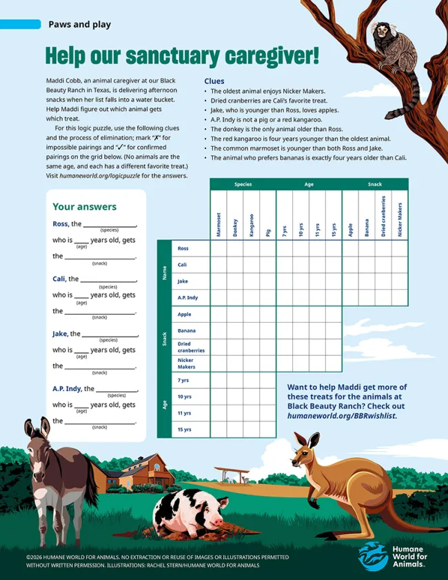 Activity page featuring a logic puzzle about matching animals with their ages and favorite treats, including clues, a grid for solving, and illustrations of a donkey, pig, kangaroo, and marmoset.