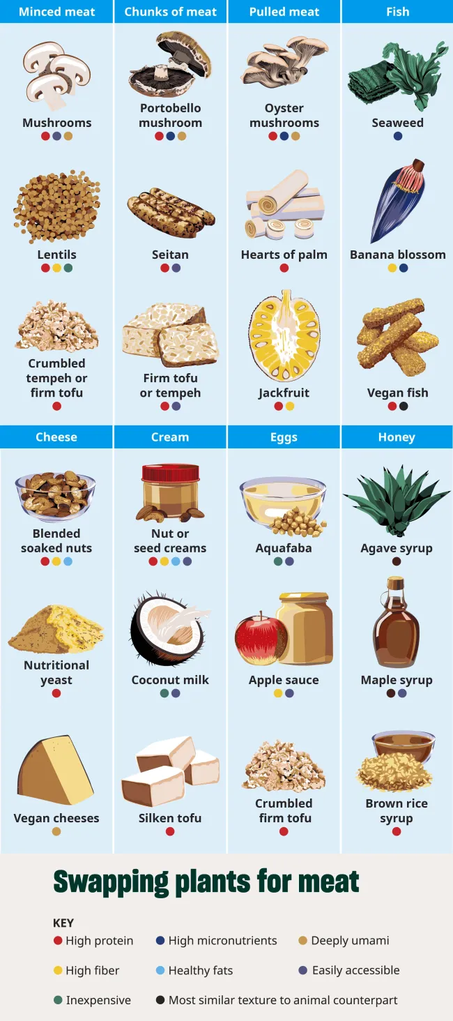 Chart showing plant-based alternatives to animal products, organized by categories like meat, fish, dairy, eggs, and honey.