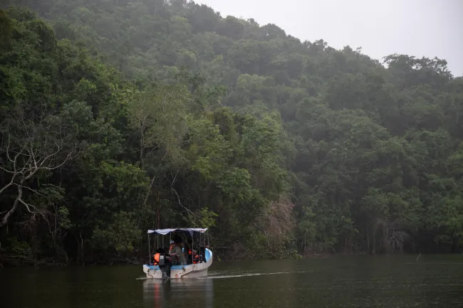 ARCAS and Humane World staff and volunteers travel by boat deep into the Guatemalan jungle to return 34 animals back to the wild.