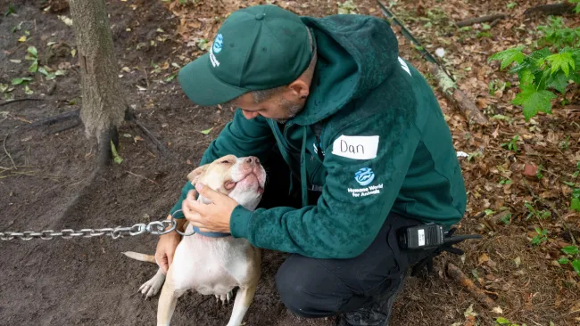 A man kneels in a wooded area, petting a light-colored dog's face