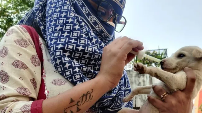  Shows a person holding a small puppy administering medicine