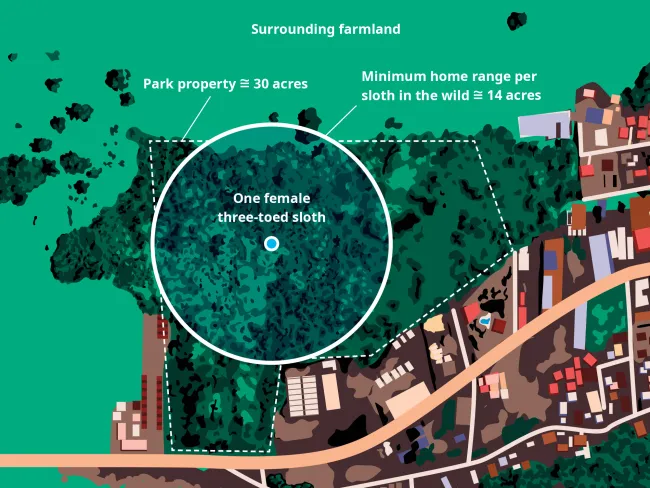 Illustrated aerial map showing a roughly 30-acre park property surrounded by farmland and nearby roads, with a circle indicating the approximate 14-acre minimum home range of one female three-toed sloth.