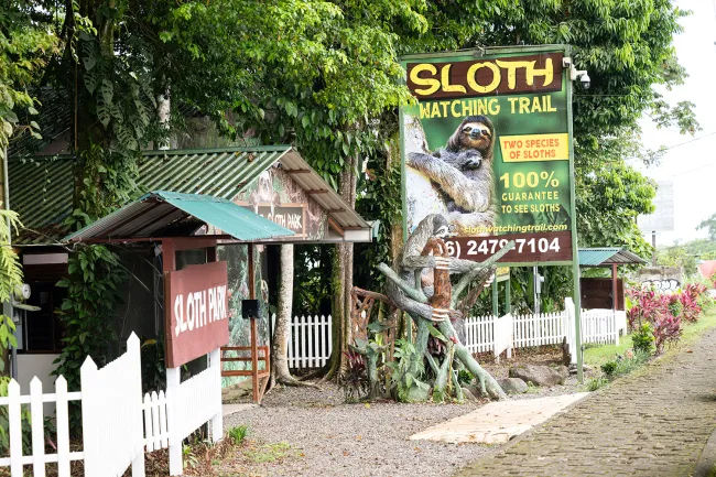 A roadside sign advertises a sloth watching trail and guarantees visitors will see sloths.