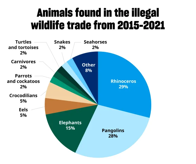 A pie chart that shows species most affected by the illegal wildlife trade