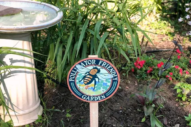 A pollinator friendly garden sign sits next to a bird bath in a garden. 