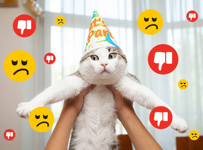White-and-gray cat wearing a party hat while being held upright with its front legs stretched out, surrounded by sad face and thumbs-down reaction icons.