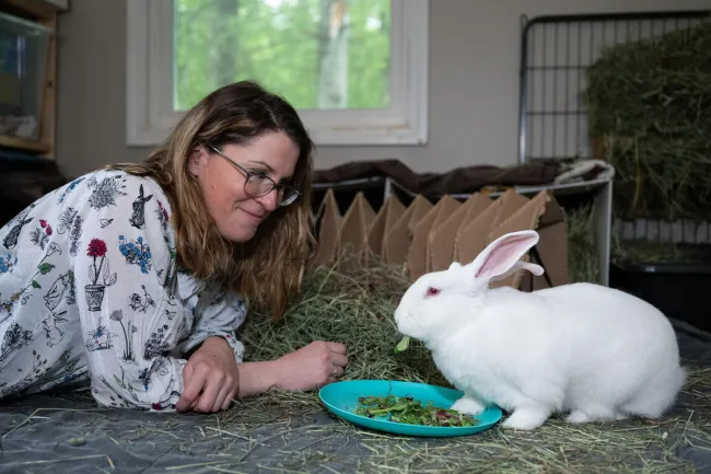 A white rabbit who was rescued from research enjoys a plate of greens and looks at the smiling woman laying across from him.