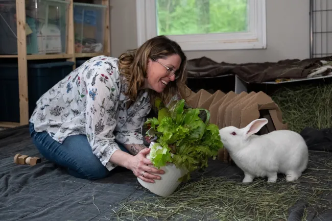 At the rabbit rescue Save the Buns, a woman holds out a bouquet of lettuce to a white rabbit who as been rescued from research.