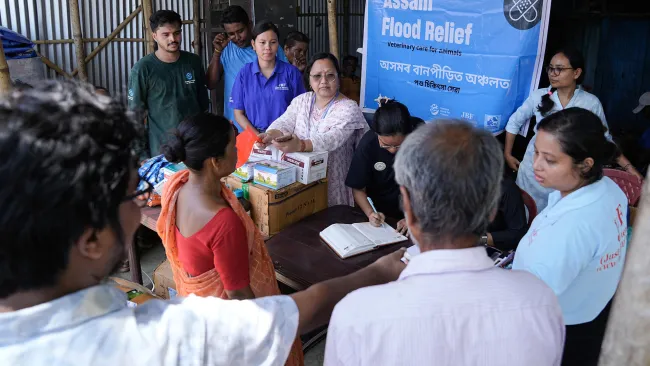 A group of volunteers and community members gather at a relief station with a banner reading “Assam Flood Relief – Veterinary care for animals.”