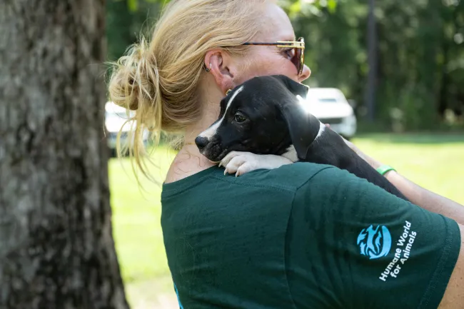 A woman is holding a small black-and-white puppy