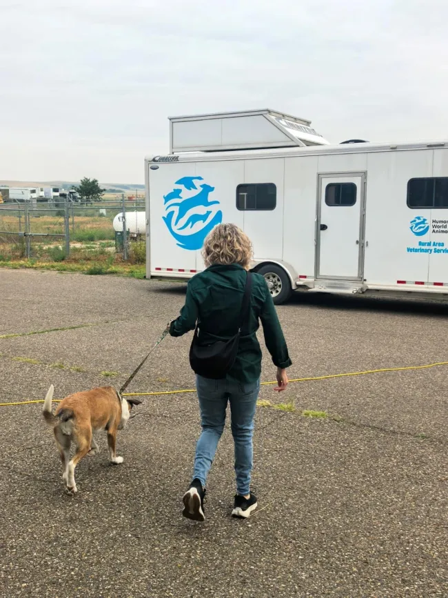 A person walks a leashed dog