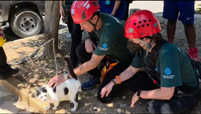 Two rescue team members petting a cat