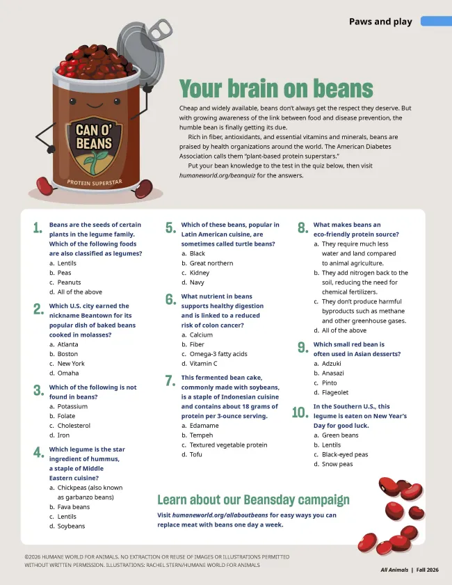 Illustrated educational quiz page about beans featuring a cartoon can of beans labeled “Can O’ Beans: Protein Superstar,” an article titled “Your brain on beans,” and a 10-question bean trivia quiz. Decorative red beans appear throughout the page.