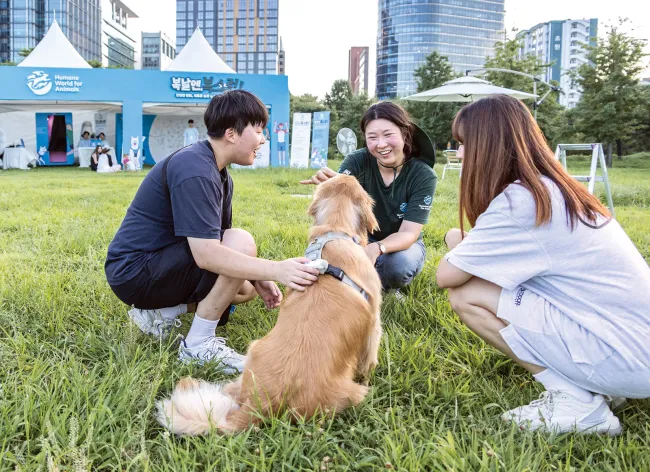 People interacting with a dog at an animal welfare event in a city park.