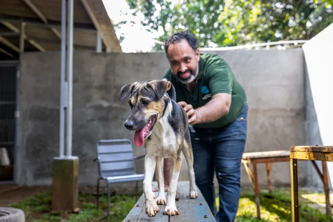 Dr. Karanvir Kukreja, principal of Ending Dog and Cat Meat Asia at Humane World for Animals, plays with Lyra, a dog meat survivor at the Jakarta Animal Aid Network (JAAN) Shelter and Clinic in Bogor, Indonesia, May 12, 2026.
