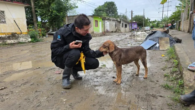 Felipe Marquez comforts a dog.