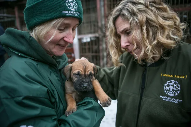 Two women interacting with a puppy, one is holding the puppy