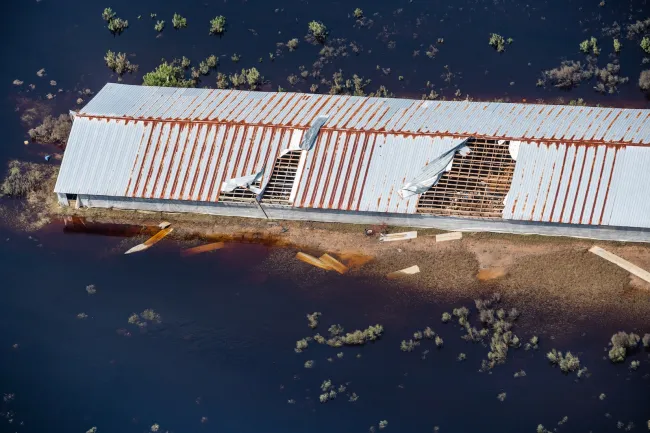 Aerial view of a concentrated animal feeding operation surrounded by flood waters in Duplin County, North Carolina, after Hurricane Florence in 2018.