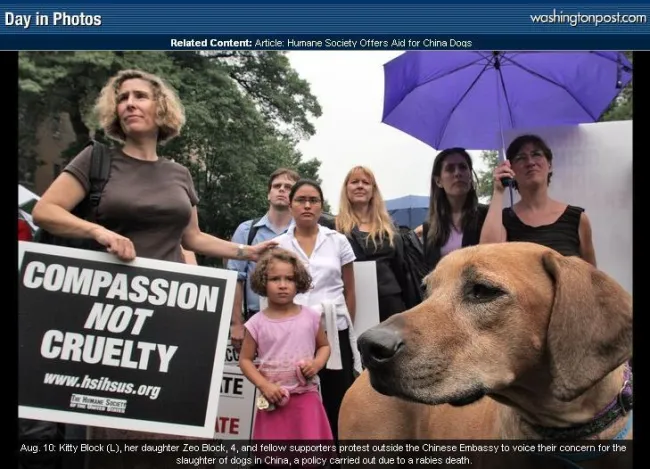 Group of protestors holding signs and a dog prominently in the foreground