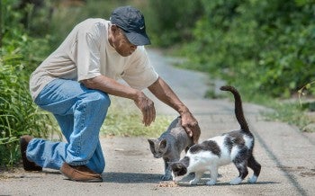 Man visits with some neighborhood kitties.