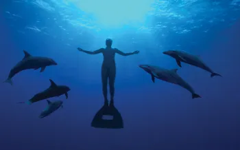 Image from The Cove documentary
