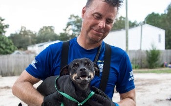 Dog and rescuer during HSUS efforts following Hurricane Florence in South Carolina