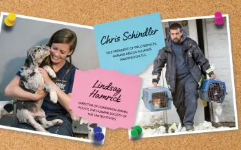 Photos of Chris Schindler and Lindsay Hamrick tacked onto a cork board.