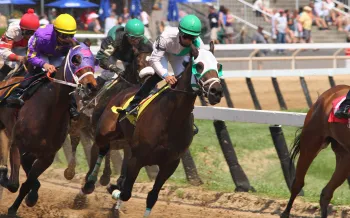 Race horses running on track