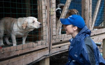HSUS staff with a dog being rescued from a large-scale alleged severe neglect case in Florida