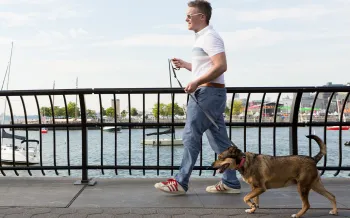 Man walking dog on bridge