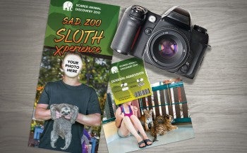 Photo collage of a roadside zoo brochure, ticket, a camera and a photograph of a girl with baby tigers.
