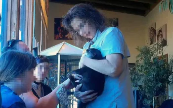 A distressed young otter screams continuously as he is forced to endure public handling during one of Tiger Safari Zoo's 4 x daily "VIP Encounters."