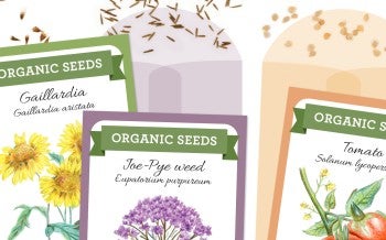 native seed packets