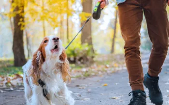 A man walking a barking dog