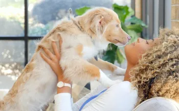 Puppy jumping up on a woman