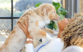 Puppy jumping up on a woman