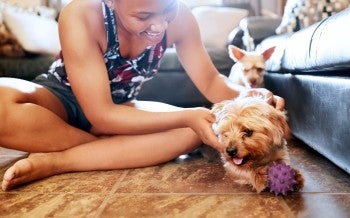 A woman plays with her yorkie dog on the floor