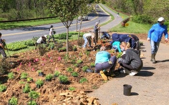 Neighbors working in a community garden