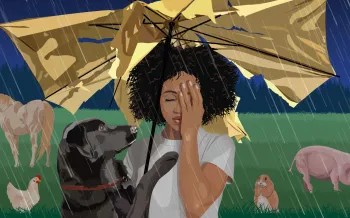 Illustration of sad woman under a broken umbrella in a rainstorm. A black dog tries to comfort her while animals endure the storm.