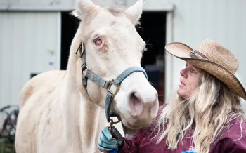 Animal transporter Dee Owens leads a blind mare who was found pacing in her pen.