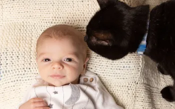 Happy baby laying on a blanket with curious cat sniffing his hair
