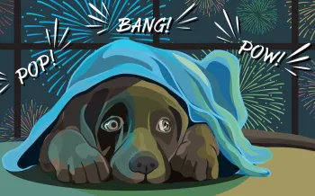 Illustration of a dog hiding under a blanket while fireworks go off out the window behind him.