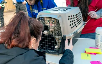 A cat in a crate is being examined by a rescue team member.