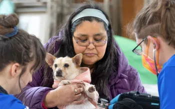 Brandi Markishtum holds pup Lola for a veterinary exam by veterinarian Colleen Cassidy, right, and veterinary assistant Sara Michelassi during the RAVS clinic serving the Quinault Nation.