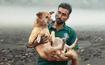 A man holds a community dog using the hand-catching technique on the street in Rishikesh, India,.