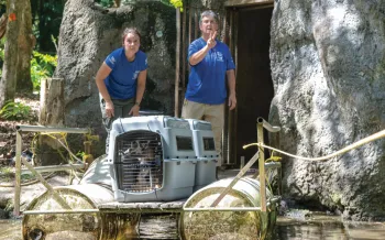 HSUS staff load a pair of lemurs onto a raft to cross a moat at zoo before transporting to sanctuary
