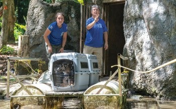 HSUS staff load a pair of lemurs onto a raft to cross a moat at zoo before transporting to sanctuary